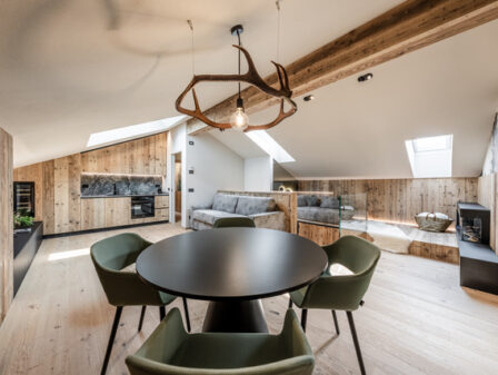 AlpedorMountainSuites_GPH_6